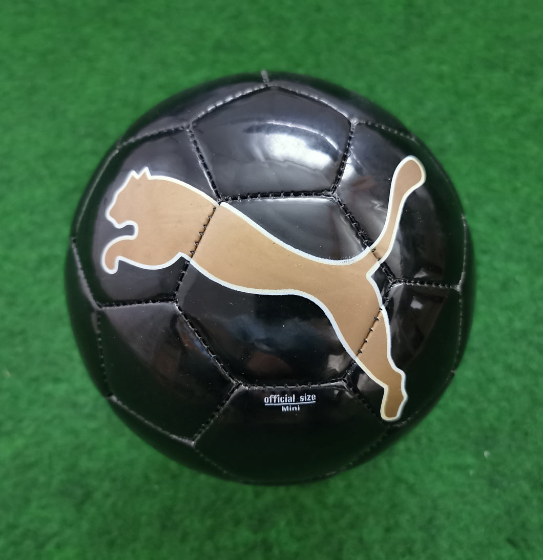 Fussball PUMA King Graphic TEAM CAT Mini Venono Auswahl