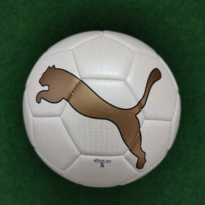 Fussball PUMA King Graphic TEAM CAT Mini Venono Auswahl