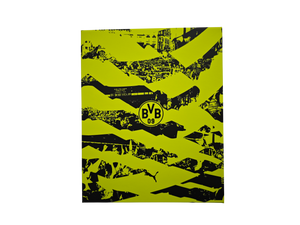 Borussia Dortmund 2025 Sondertrikot NEON GELB 1995/1996
