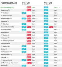 Laden Sie das Bild in den Galerie-Viewer, Fussball Bundesliga Torfabrik 2026-2027 League 290