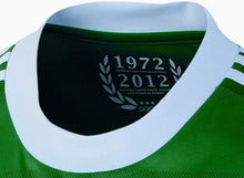 Load image into Gallery viewer, DFB Herren 2012 Away + Spielernummer