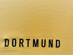 Borussia Dortmund 2007-2008 Home Signiert TEAM