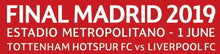 Cargar imagen en el visor de la galería, FC Liverpool Champions League Final Madrid 2019 - Virgil 4